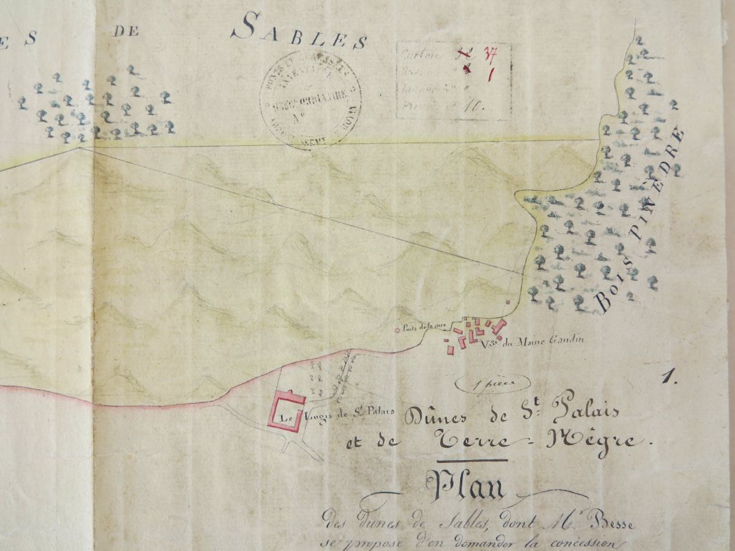 Extrait du plan des dunes en 1825 : dunes et bois aux abords de Maine-Gaudin.