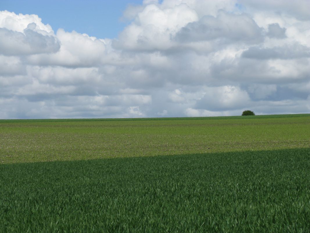 La plaine agricole entre le Berceau et Chantier.