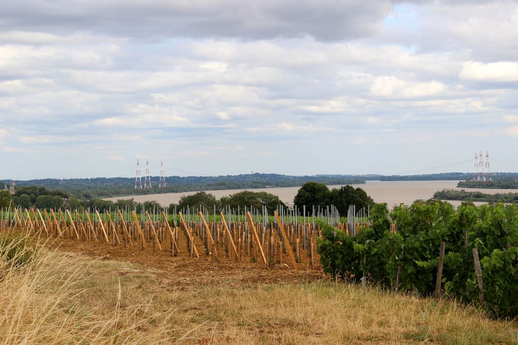 Vue sur la Dordogne (depuis le hameau de Caruel).