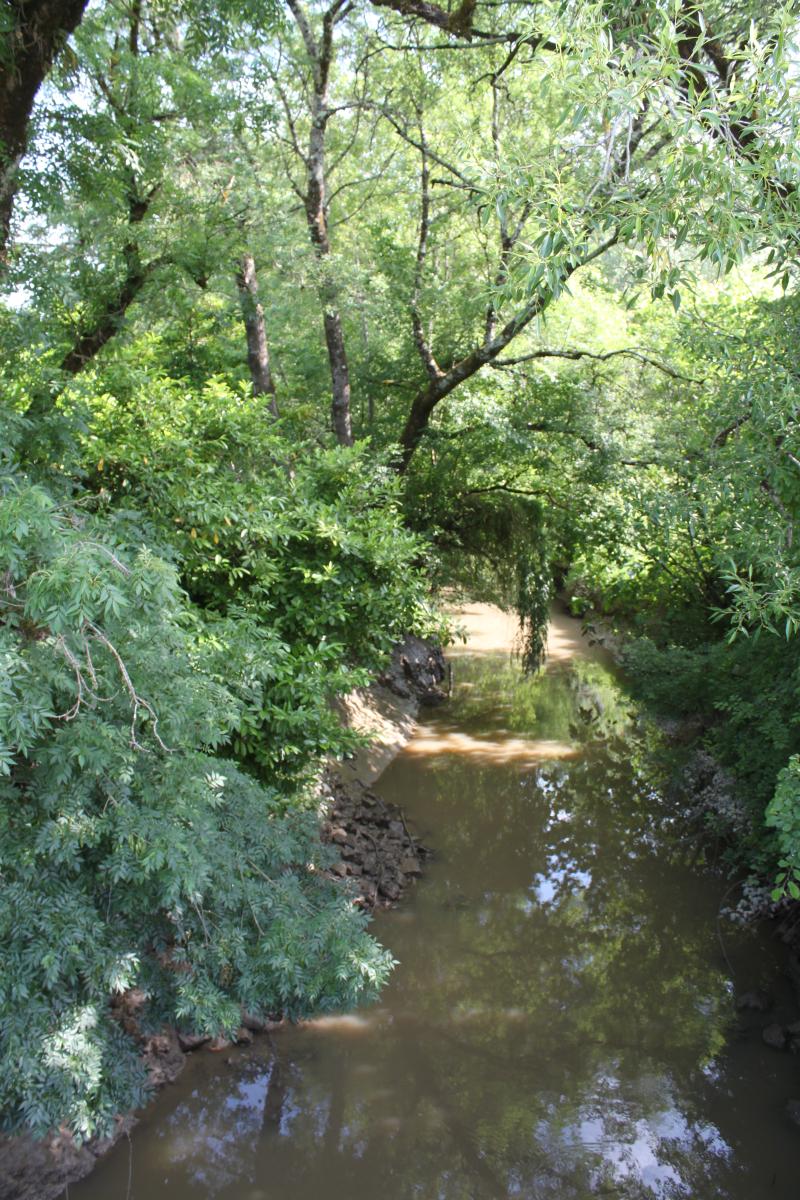 Le Moron : cours amont vu depuis le pont de Moron.