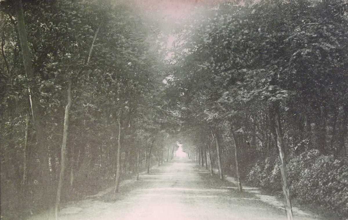 L'avenue Mocqueris, reliant le bourg de Saint-Georges à la plage, au début du 20e siècle.