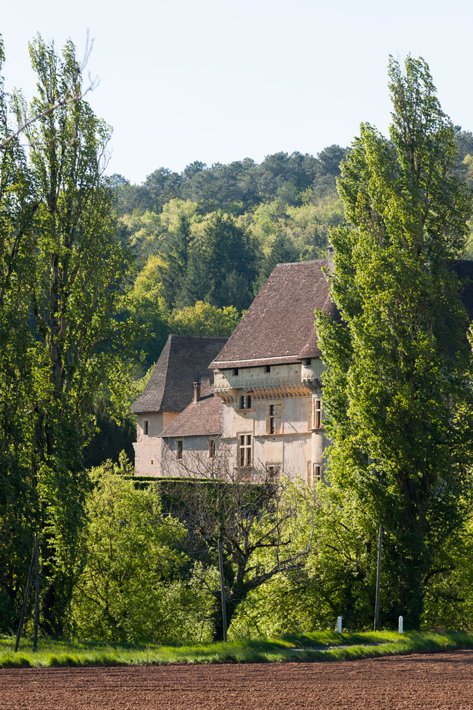 Vue du château depuis la rive gauche de la Vézère.