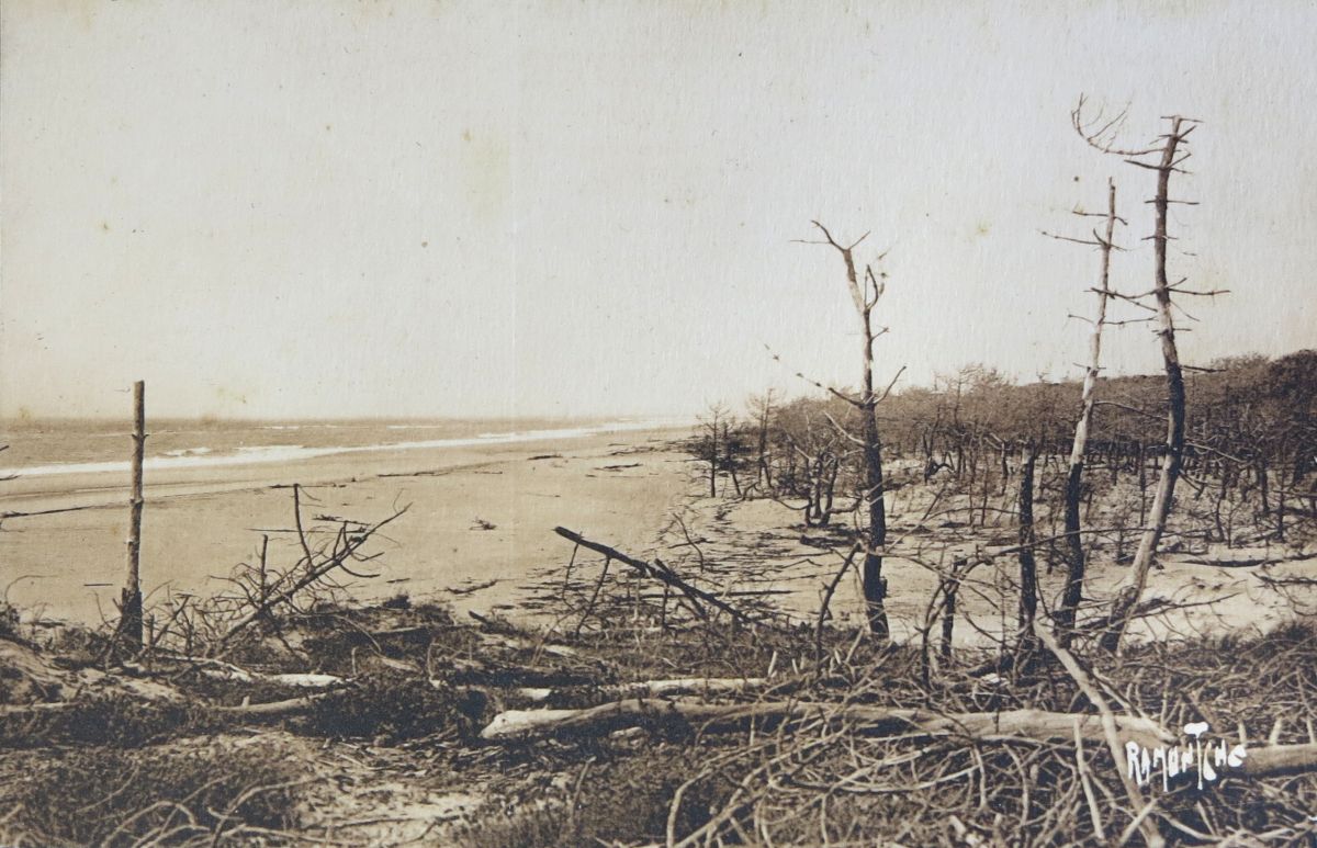 La lutte entre le sable, le vent et la forêt près du phare de la Coubre, vers 1935.
