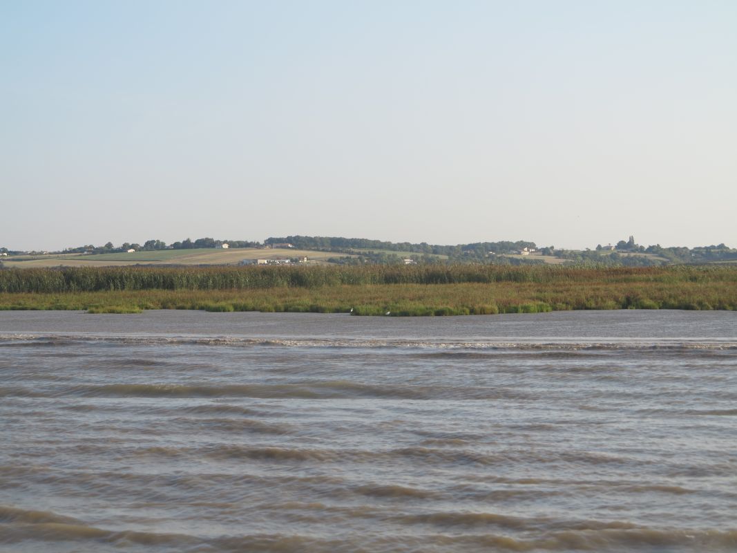 Les hauteurs de l'Echailler et les marais vus depuis l'estuaire.