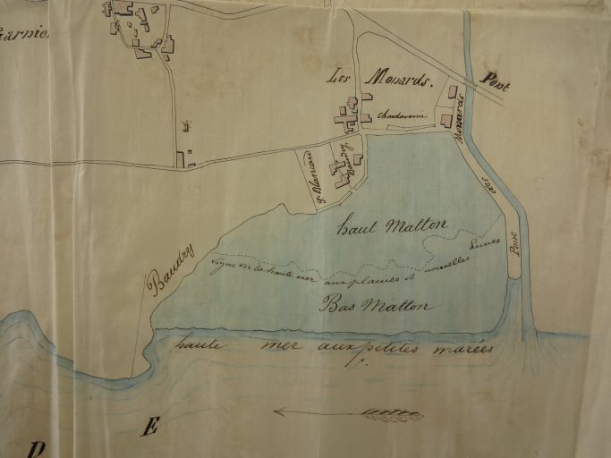 Plan des mattes de Barzan, par Michel Augier, géomètre, 14 avril 1854 : mattes des Monards.