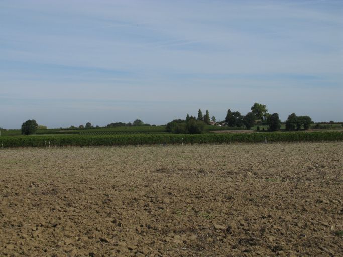 Vignes et terres céréalières près de la Salle.