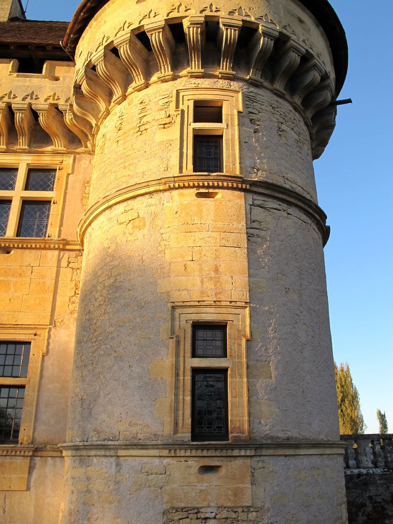 Vue d'ensemble de la tour d'angle sud-est : travée de fenêtres.