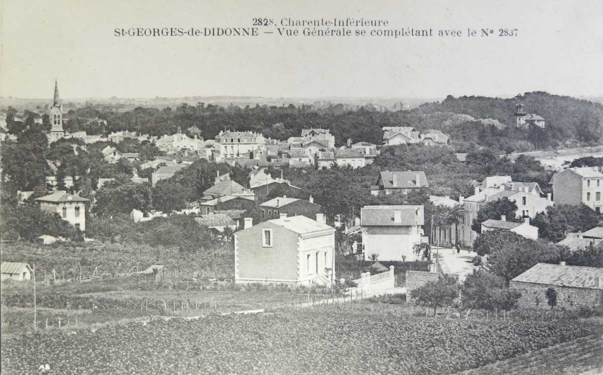 Le bourg de Saint-Georges et le quartier de la Crête, avec des vignes au premier plan, vu depuis l'ouest vers 1910.
