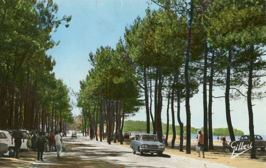 Le nouveau boulevard de la Côte de Beauté, dans sa partie sud, vers 1960.