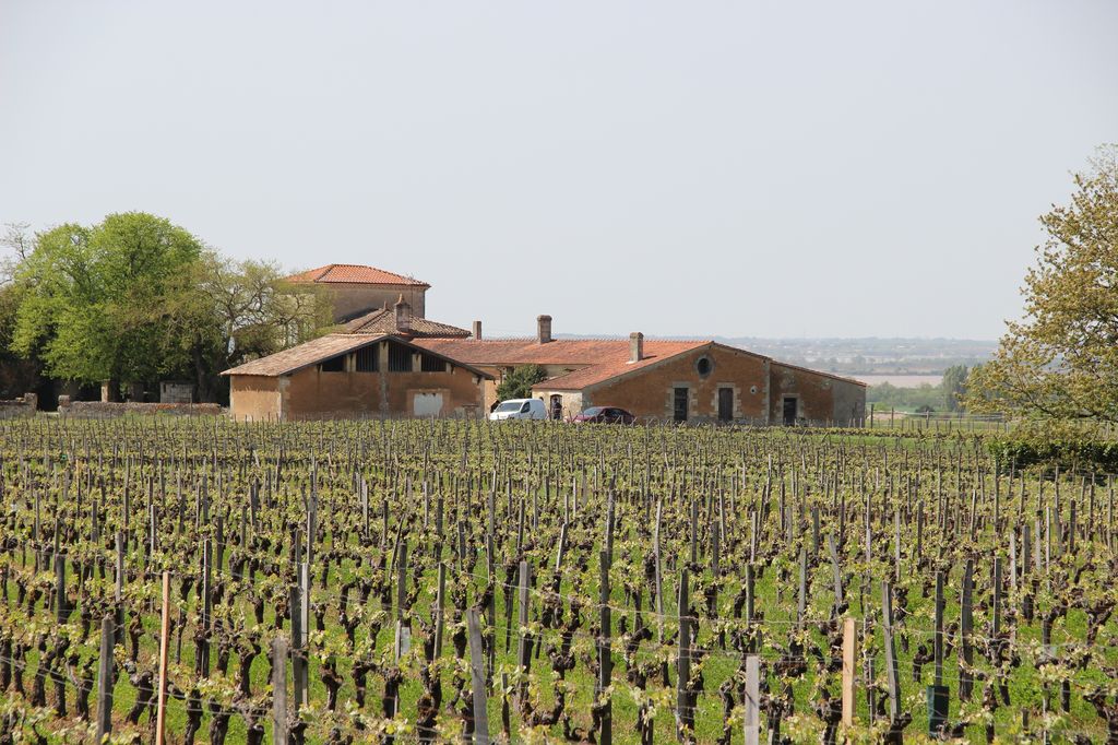 Vue depuis les coteaux viticoles de Cantemerle à l'est de la commune vers l'estuaire à l'ouest.