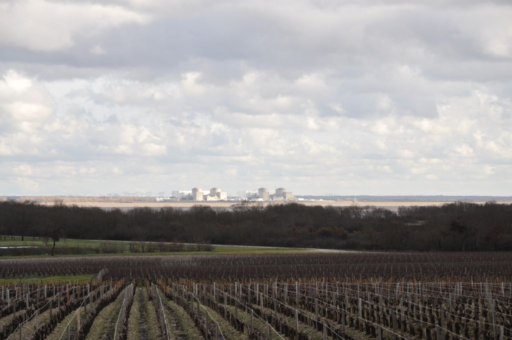 Vignoble et vue sur l'estuaire. Au loin, sur la rive droite, la centrale nucléaire de Braud-et-Saint-Louis.