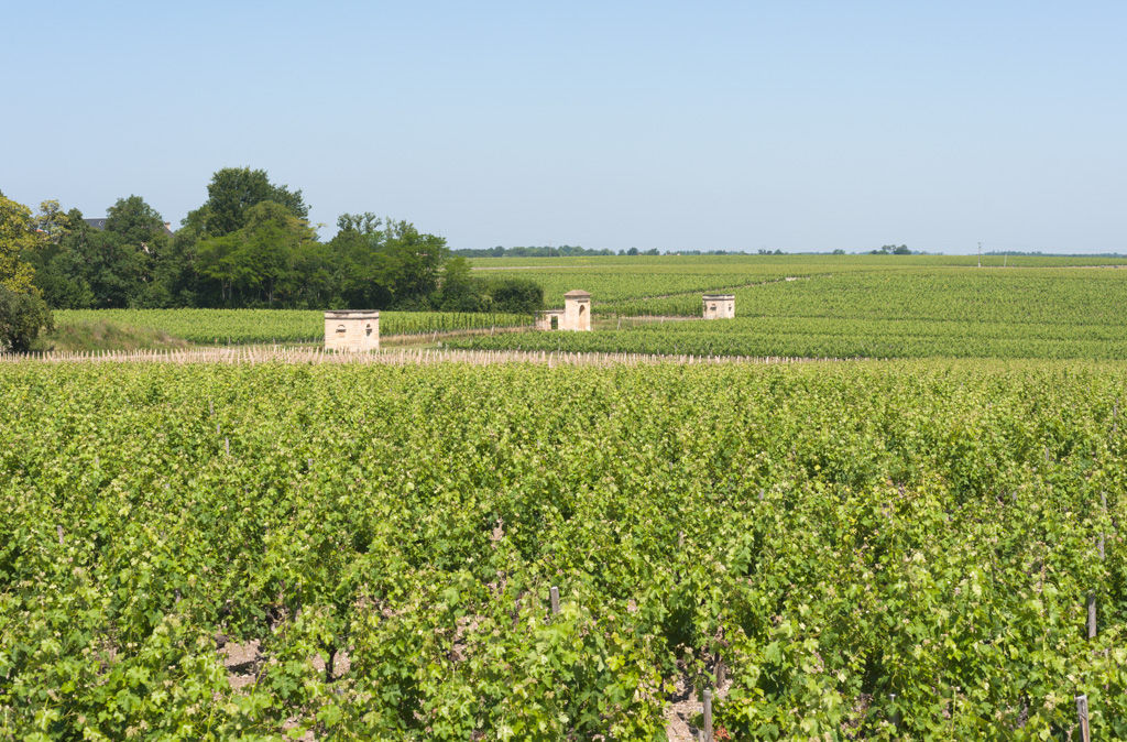 Vignes : vue d'ensemble de la fontaine monumentales et des cabanes de vigne.