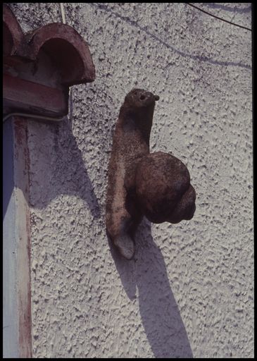 Escargot photographié en 1999.