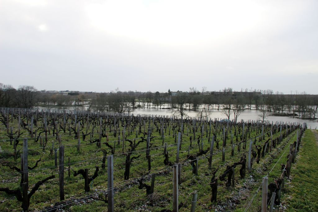 Marais du Breuil inondés en février 2014.