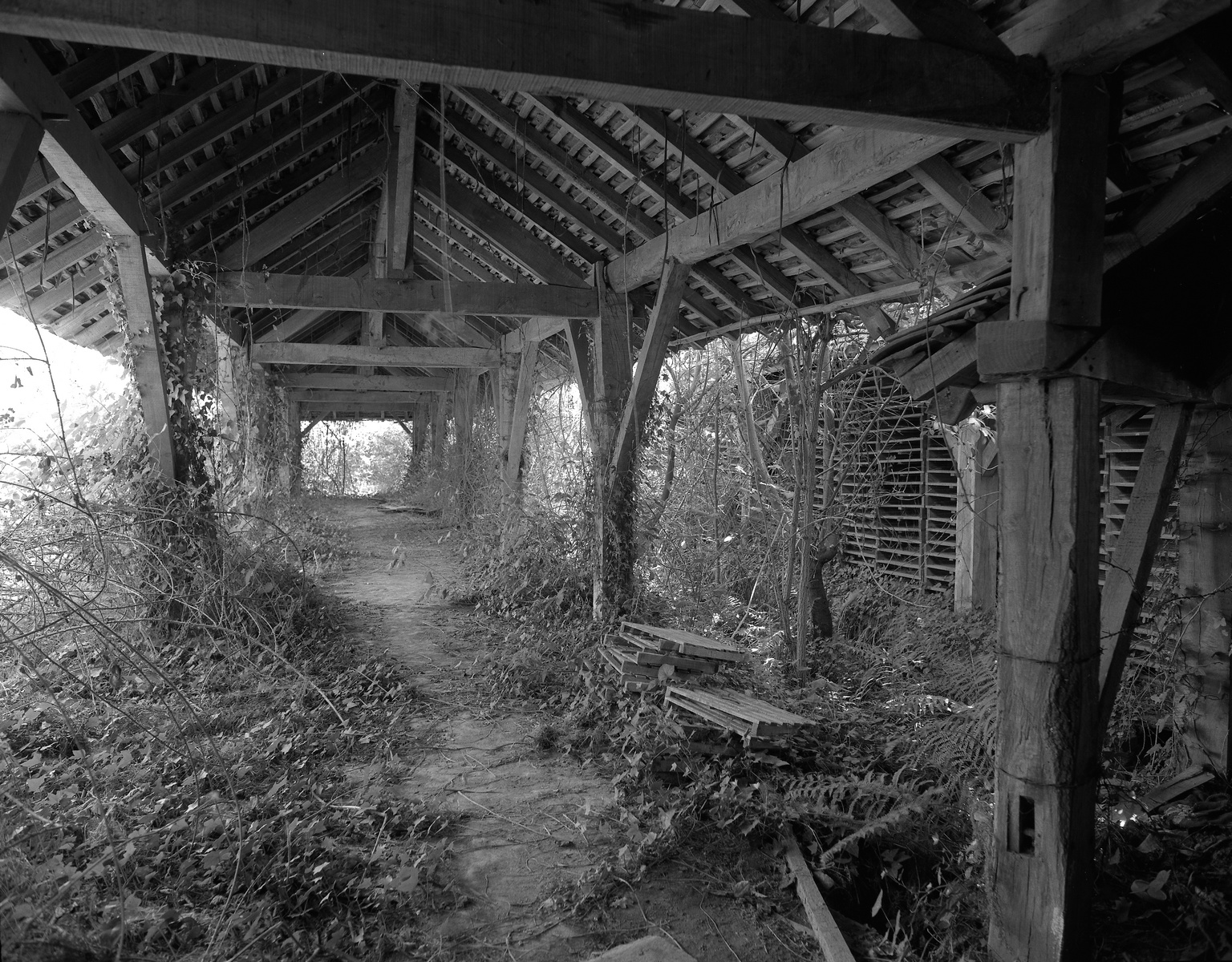 Bâtiment de séchage, état en 1992.