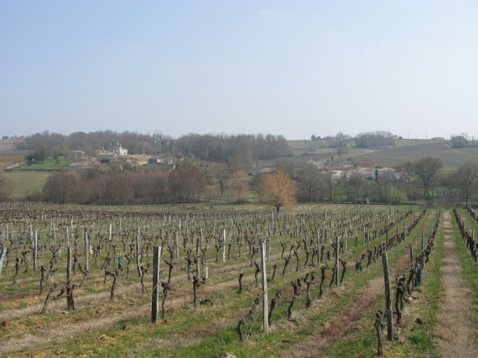 Paysage de coteau, vallée de la Fragnée, vignes et hameaux du Mérin d'Or et de la Mothe, depuis le cimetière.