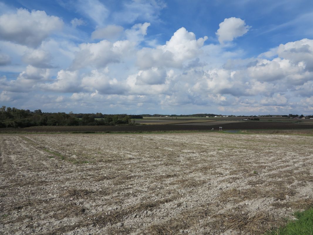 La plaine agricole entre les Mathes et Arvert.