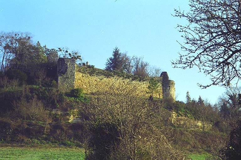 Les ruines du château vues depuis la Trigale en 2002.