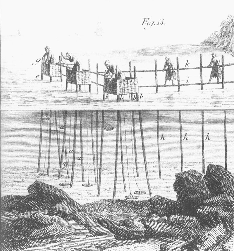 Les premiers carrelets à Saint-Palais-sur-Mer, décrits par Duhamel du Monceau dans son Traité général des pesches, en 1769.
