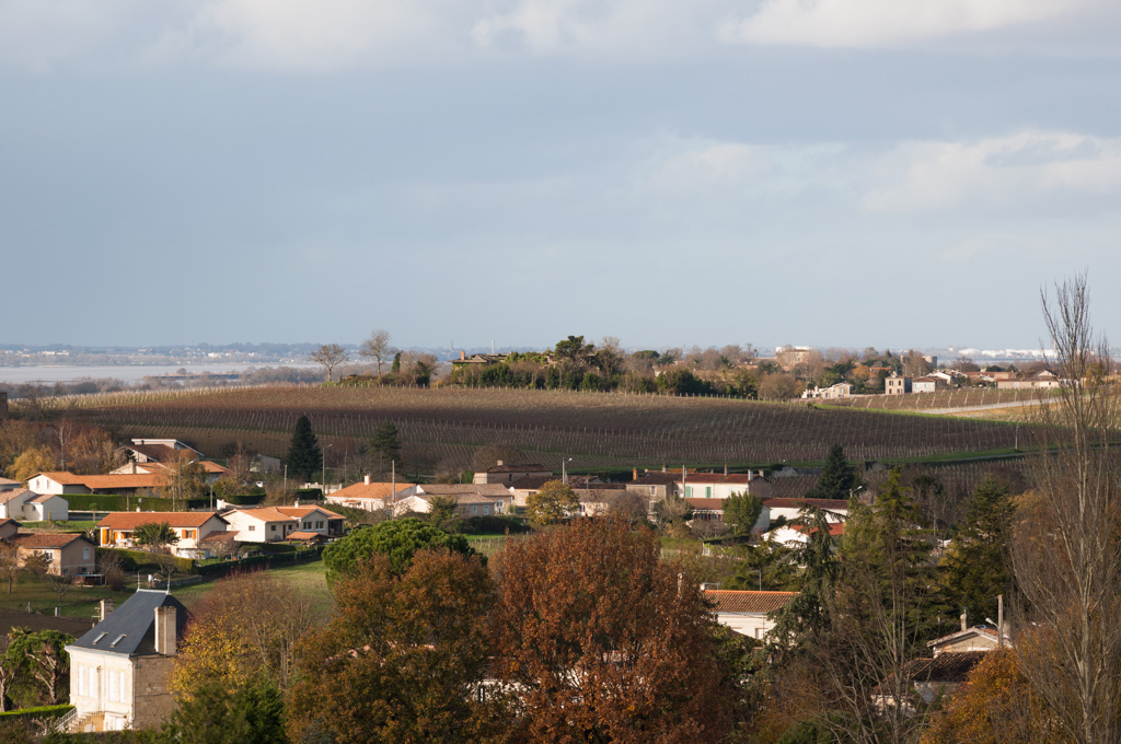 Vue du paysage viticole depuis les hauteurs de Montuzet.