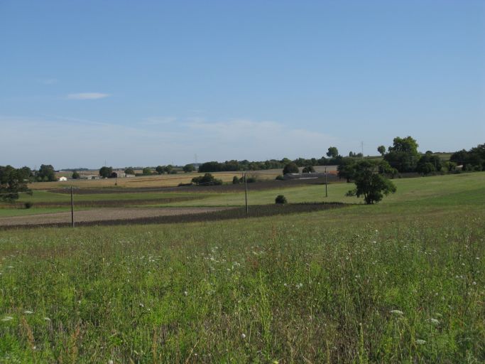 Paysage de plateau agricole au nord de la Charbonnière.