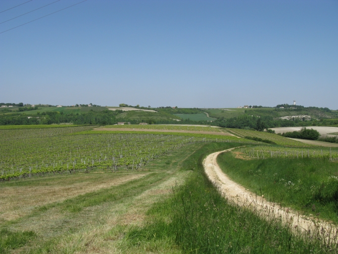 Le coteau entre la Grassière et le Merleau, au loin, vu depuis la Nauline.