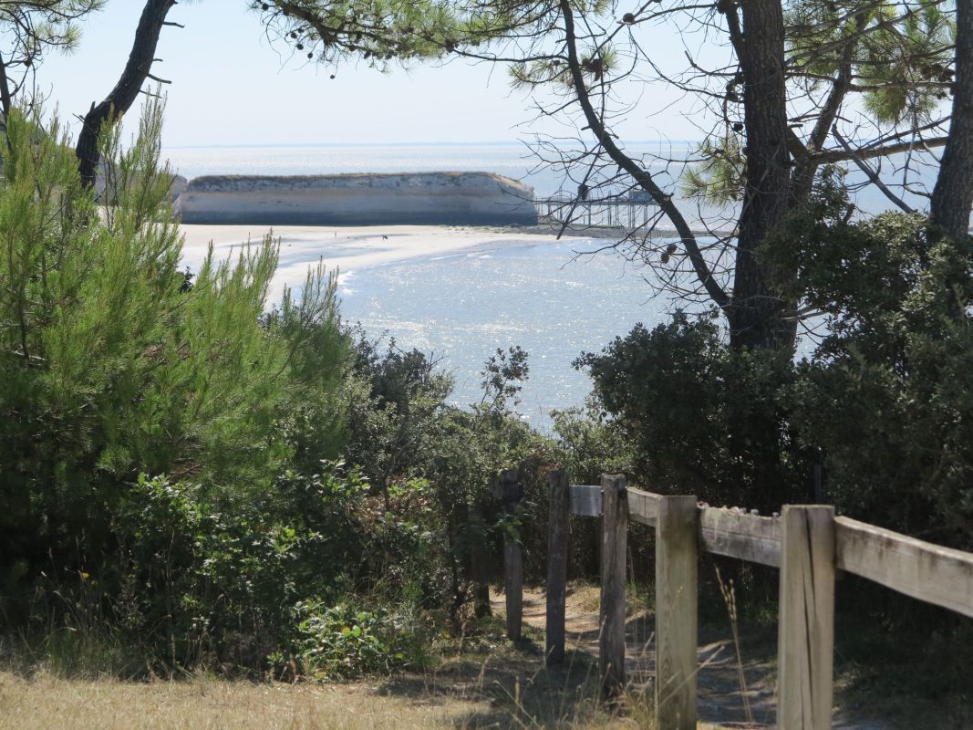 Promenade en bord d'estuaire entre la plage des Vergnes et celle de l'Arnèche.