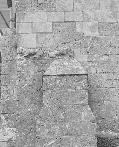 Transept, bras sud, relief à l'angle gauche, au-dessus du contrefort: deux animaux.