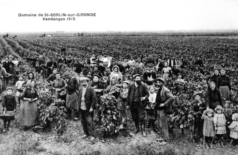 Vendanges de l'année 1912 à Saint-Sorlin-de-Cônac.