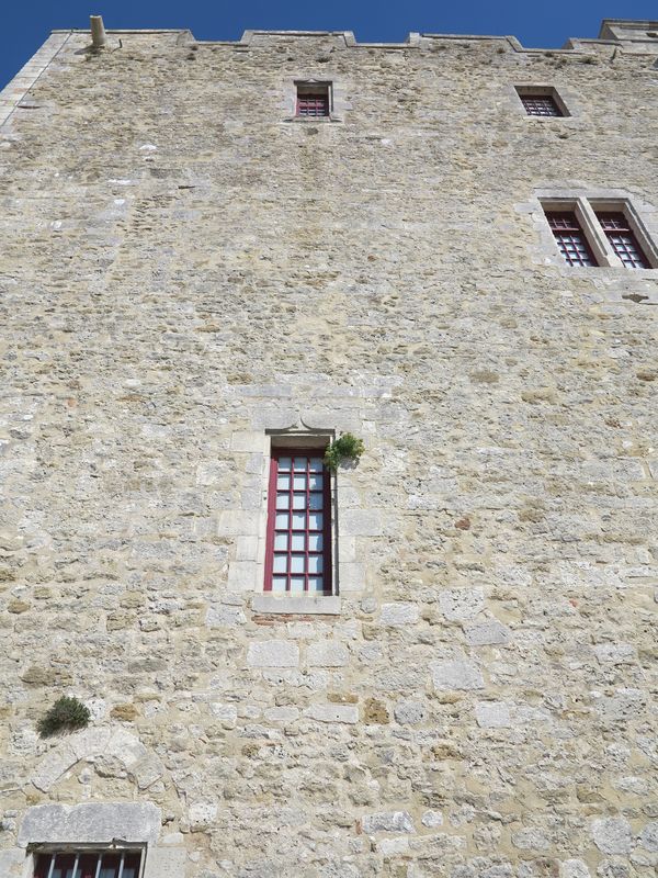 Détail de la façade ouest du donjon. 
