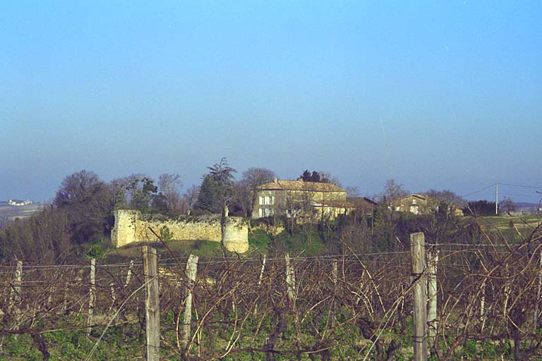 Le château vu depuis le moulin de la Parée, au sud, en 2002.
