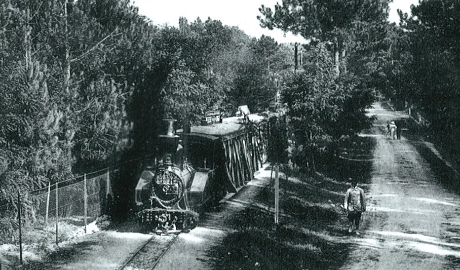Le tramway à travers le bois du Platin, actuelle allée de la Jonque, vers 1910.