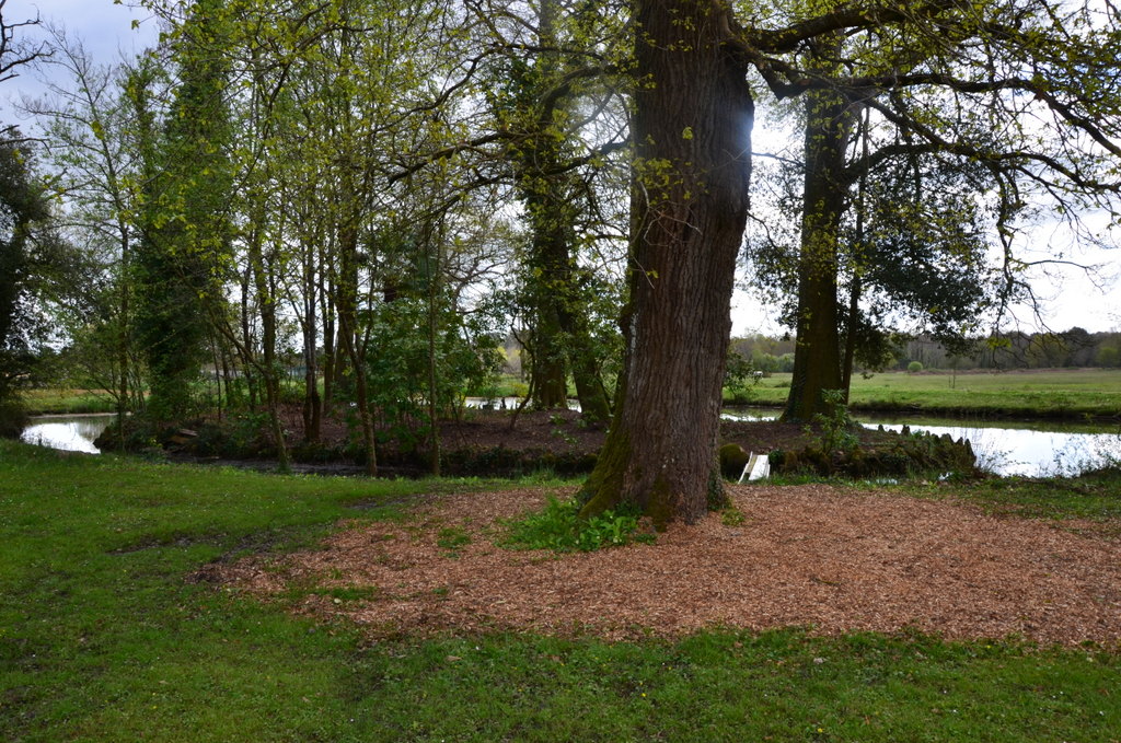 Aménagements, îlot.