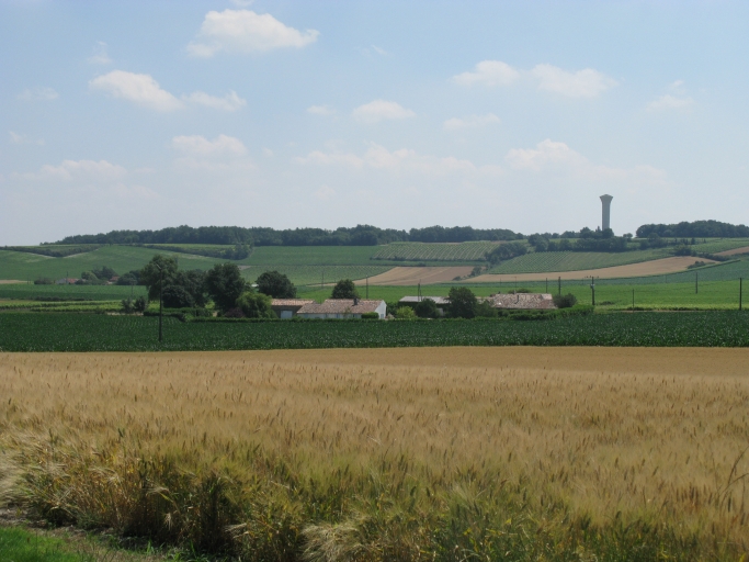 Paysage de plateau céréalier et viticole autour des Bouillants.
