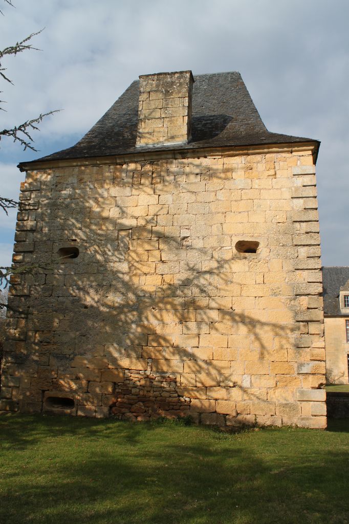 Face sud du pavillon antérieur gauche (sud-ouest) : canonnières à la française et traces des consoles bûchées au sommet du mur.