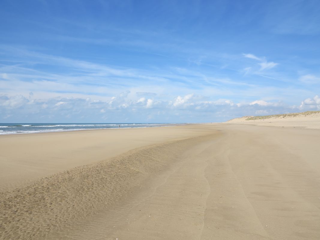 La plage de la Côte Sauvage en direction du nord.