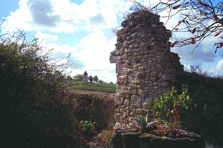Ruines de tour vues depuis le logis en 2002.