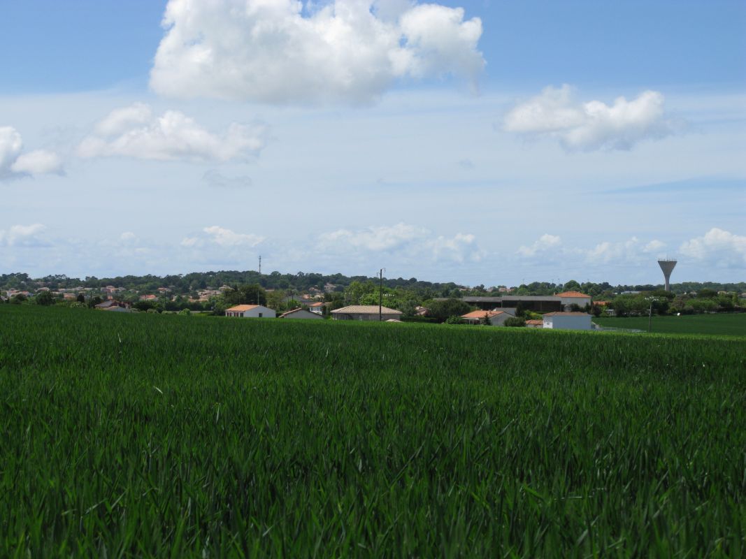 Le bourg et la plaine agricole au nord.