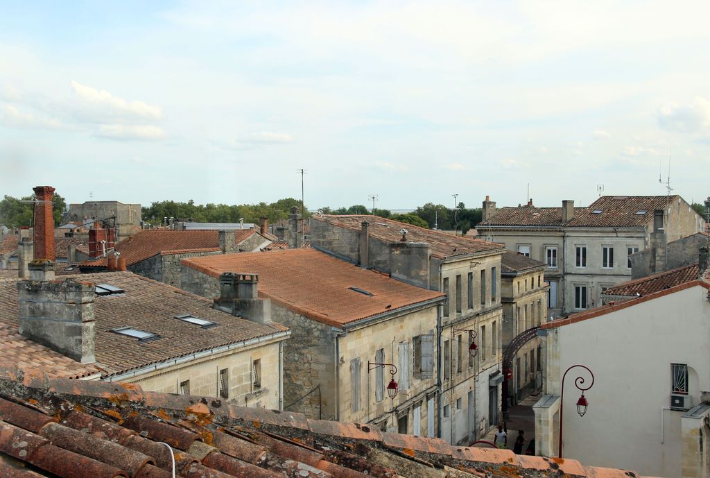 Vue de la rue Pasteur depuis la tour belvédère de l'ancien château Pédesclaux.