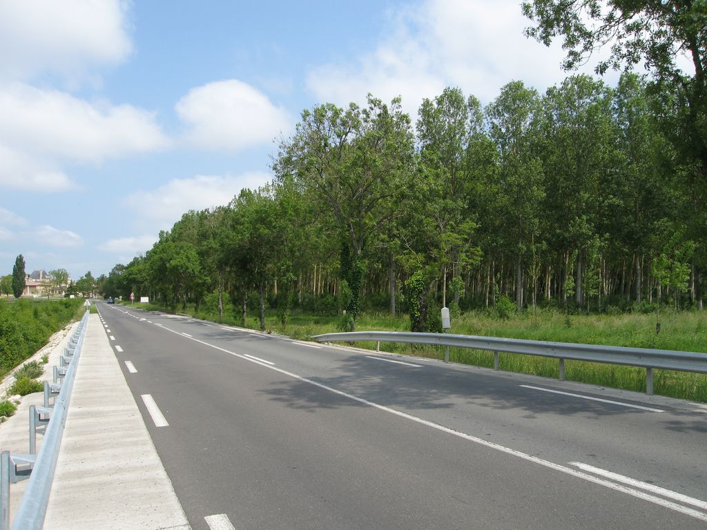 Départementale traversant les marais de Beychevelle au sud de la commune.