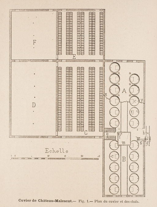 Plan du cuvier et des chais, château Malescot (1896).