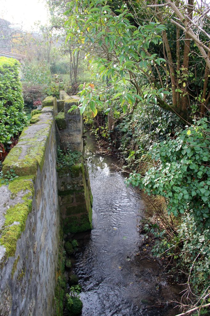 Ruisseau de Mangaud au hameau de La Lustre.