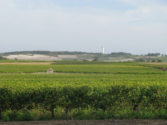 Paysage viticole à l'est de Chez-Glémet.