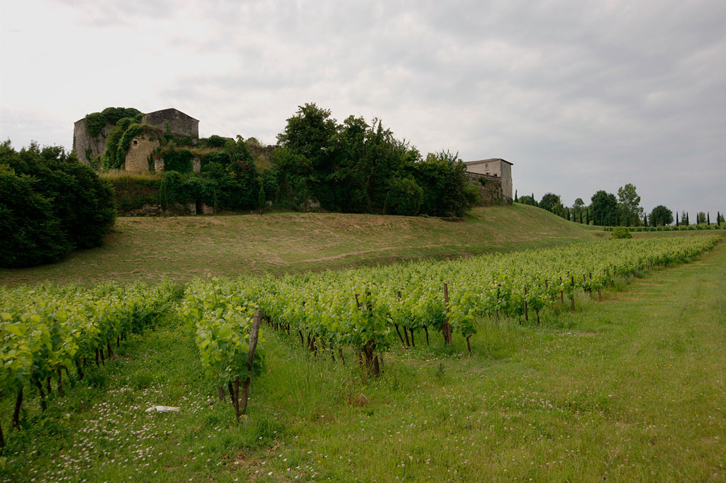Château de Thau sur son promontoire rocheux vu depuis le nord-ouest.
