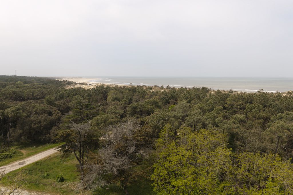 Forêt, dunes et océan, vus depuis le phare de Grave.