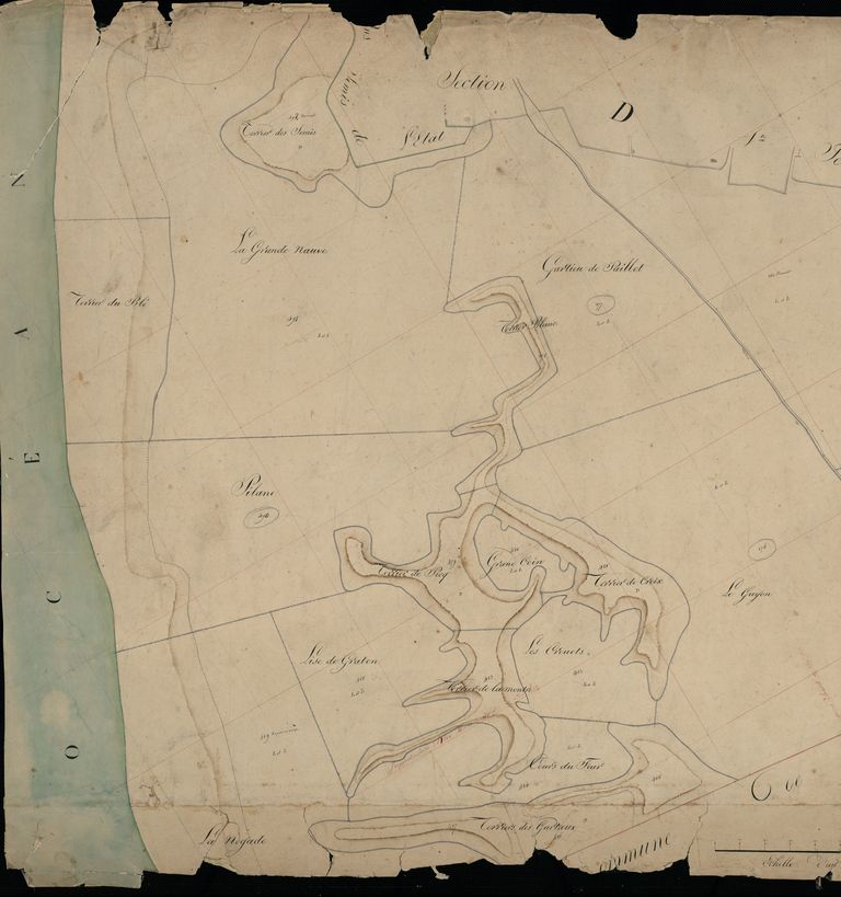 Extrait du plan cadastral de 1833, section D2 : dunes au sud de la commune.