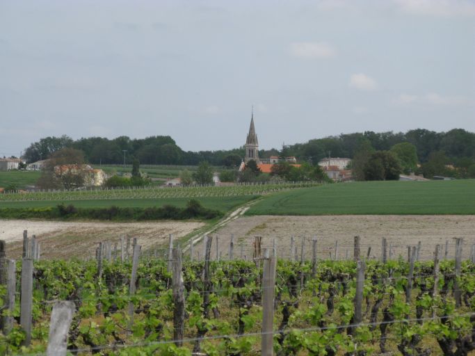 Vignes, bois et céréales autour du bourg de Chenac.