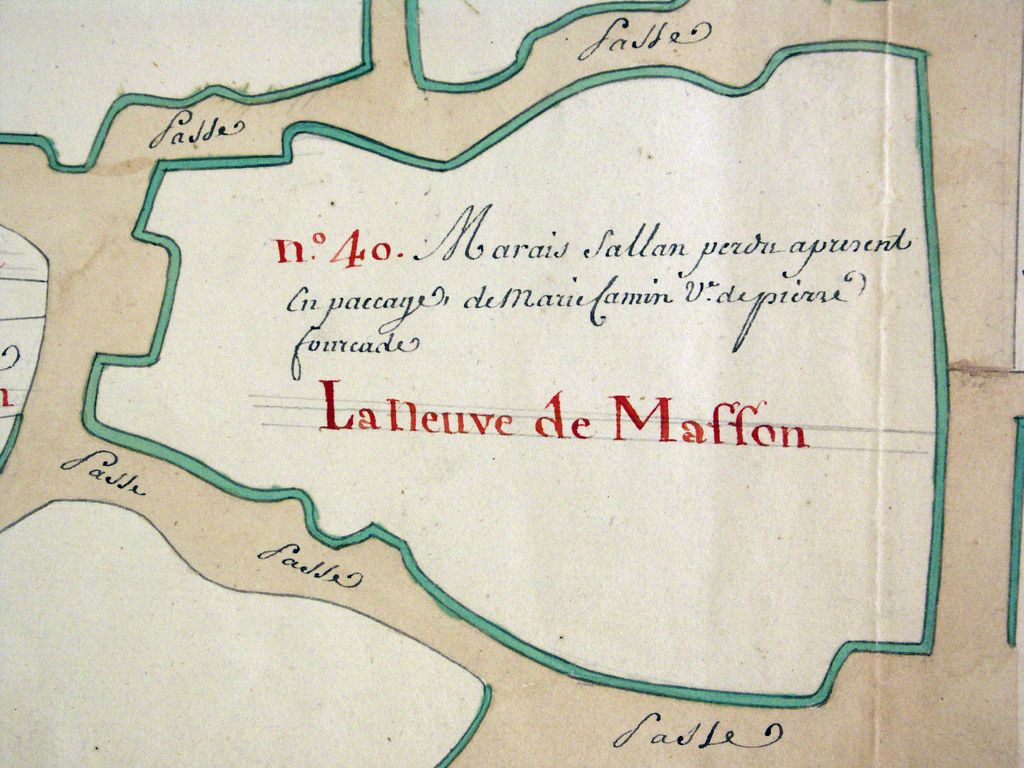 Plan parcellaire des terres et domaines dépendants de la seigneurie de Lesparre, paroisse de Soulac, 18e siècle : détail.