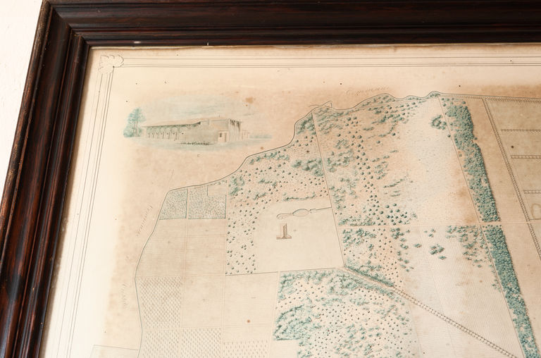 Plan du domaine de Lanessan, vers 1840 : détail de l'étable à boeufs du Parc Neuf.