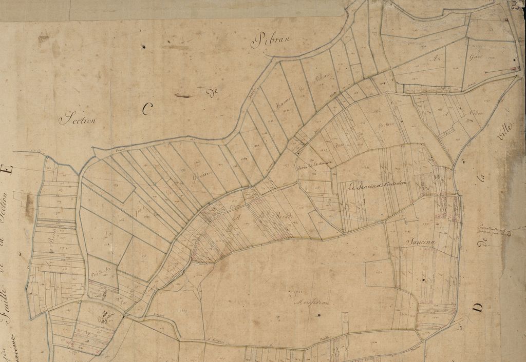Extrait du plan cadastral de 1825, section E2 : marais de Pibran.